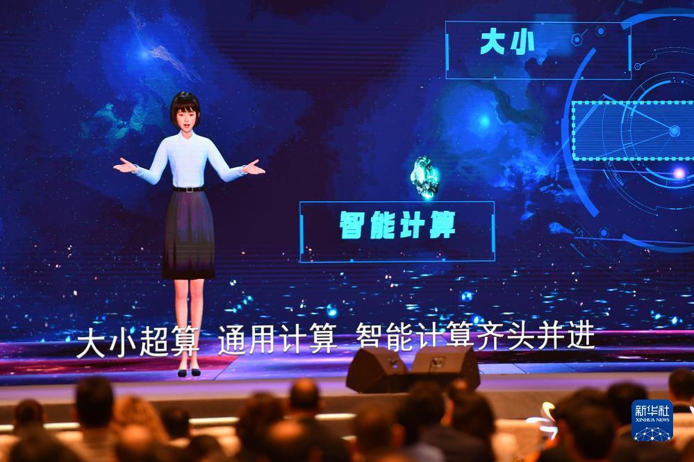 九洲国际网站多少?
